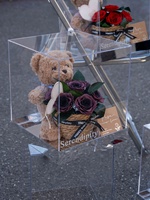 Boîte cadeau en acrylique avec ours en peluche, cadeau romantique pour la Saint-Valentin pour petite amie, rose éternelle, ours éternel en boîte