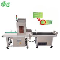 Machine d'inspection par vision IA pour sacs alimentaires avec lecture OCR de la date de production, du code produit et contrôle de la qualité en temps réel