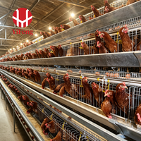 Cage à poulets de type A, cage automatique à batterie, 4 niveaux, collecte des œufs, convoyeur à fumier, abreuvoir à tétine, acier galvanisé, 3 niveaux