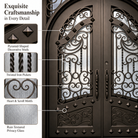 Porte d'entrée double en fer forgé cintrée, galvanisée, anti-effraction, avec verre dépoli et motifs ajourés, pour villa américaine
