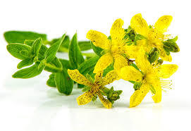 최저가 세인트 존 워트 추출물 Hypericum perforatum 추출물 분말 순수 Hypericin 분말 - Product Image 4