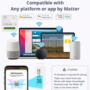 Matter <b>Smart</b> Relay 10A 16A Cross Platform Homekit Alexa Google Voice Remote Control <b>Smart</b> <b>Home</b> - Product Image 3