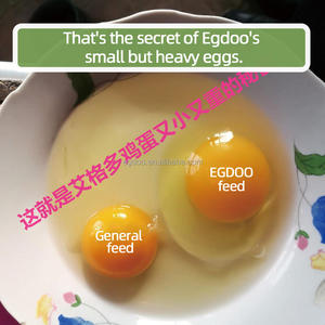 Aminoácidos de grado alimenticio Premix Vitamina Enriquecida Broody Gallinas ponedoras Mejora el color de la yema Extiende el tiempo máximo de colocación Aditivos alimenticios - Product Image 6