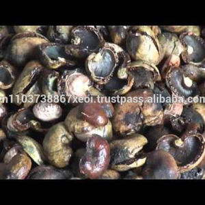 Vietnamese Special <b>Agricultural</b> <b>Waste</b> Cashew Shell Residue for Fueling Material-CASHEW SHELL - Product Image 4