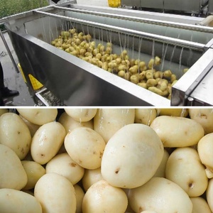 MSTP-500 Automatic <b>Brush</b> Potato Washing Peeling and Polishing Machine Potato Peeling Machine - Product Image 5