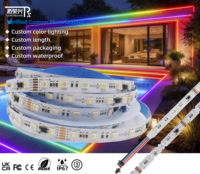 Tira de Luces LED RGBW DMX512 Inteligente, Programable y Direccionable, Personalizada de Fábrica, IP67, CRI90, Control Remoto, USB, Regulable, para Escenarios