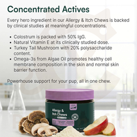 Friandises à Mâcher Tendres pour Chiens Contre les Allergies, Enrichies en Oméga 3, Colostrum, Vitamine E et Champignon Queue de Dinde - 120 Unités, Naturelles, Fournisseur d'Usine, OEM