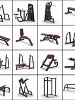 Machine Hack Squat pour Femmes, Équipement d'Entraînement de Force Multifonctionnel, Système de Gymnastique à Domicile en Acier à Charge de Plaques, Poids Maximal Utilisateur 200 kg