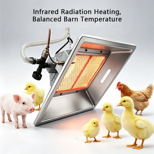 Riscaldatore a Gas Automatico a Infrarossi con Catalizzatore Nero a Terre Rare, Stufa Multi-Gas per Allevamenti, Pollai, Serre, <span class=keywords><strong>Magazzini</strong></span> - Product Image 6