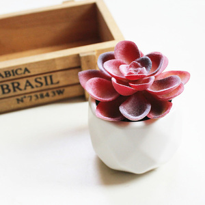 Venta al por mayor, nuevo diseño, Mini suculento con maceta de cerámica, plantas suculentas artificiales - Product Image 3
