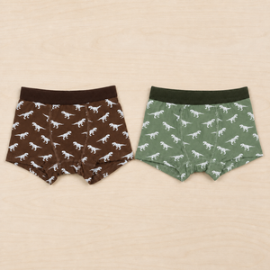 LUJIA Lot de 2 boxers pour garçons en coton naturel extensible à 95 %, imprimé dinosaures, pour les aventures en plein air - Product Image 4