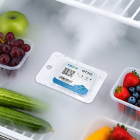Indicateur de température amélioré IDT302 avec alarme LED pour chaîne du froid et étiquette thermique