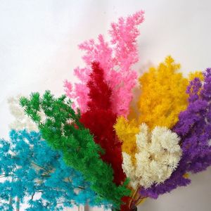 Feuille de Pougéa de Penglai de haute qualité, naturelle et préservée, pour la décoration intérieure et les arrangements floraux festifs - Product Image 4