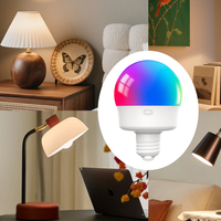 Lampu LED RGB Isi Ulang E26/E27 untuk Dekorasi Dalam Ruangan, Dilengkapi Remote Control, Baterai, Pengait Plastik, Catu Daya DC, CRI 80
