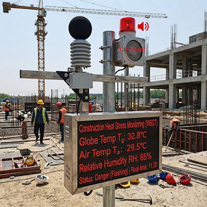 Fuerte radiación térmica Alta temperatura Alta humedad Operación WBGT Monitor de estrés por calor Medidor Sensor de temperatura de Bola negra - Product Image 1