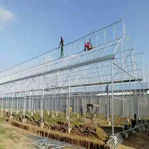 Agricultural Sawtooth Greenhouse For Tropics Area