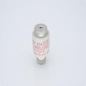 FUSIBLE ÉLECTRIQUE BLA040 Nouveau contrôleur de programmation PLC dédié PAC d'automatisation industrielle en stock - Product Image 1