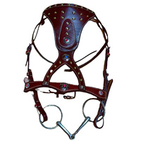Endurance Équitation Bride Endurance Cheval Rouge Bride En Cuir Haute Qualité Premium Rub International