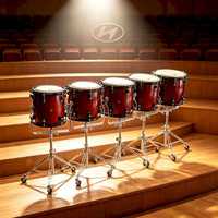 PaiGu (Set of 5) DFWY-1 Traditional Chinese Tuned Drums with Stand and Wheels