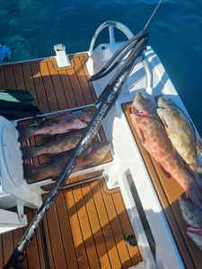 Nueva Llegada <span class=keywords><strong>de</strong></span> Barcos <span class=keywords><strong>de</strong></span> Pesca Profisher con Aluminio 5083 para Pesca Marina, Embarcación <span class=keywords><strong>de</strong></span> <span class=keywords><strong>6</strong></span> <span class=keywords><strong>Metros</strong></span> con Remolque - Product Image 4