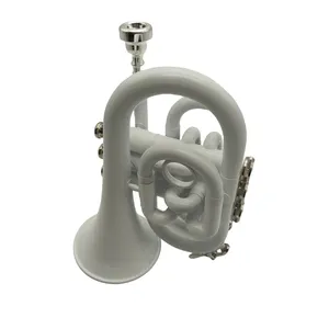 Immaculate eco friendly trumpet horn For Fascinating Sound Notes