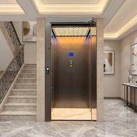 Ascenseur domestique MRL à traction sans engrenages, tension 220 V, pour passagers