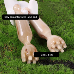 Yak blanc massif sculpté à la main tête du visage tige d'étirement pointe de corne de vache intégré <span class=keywords><strong>Lotus</strong></span> Pod Acupression Massage corps fait bois - Product Image 5
