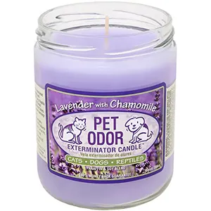 13oz Pet Odor Exterminator Lavender Chamomile Deodorizing Candles
