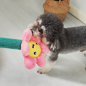 Jouet à mâcher en peluche Flower Dog Wand pour chiens de taille moyenne et grande, pour l'entraînement et l'interaction - Product Image 1