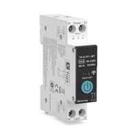 Disjoncteur intelligent WiFi Tuya pour entrepôt UE, relais de protection 1P+N avec contrôle à distance, modes de mesure et de temporisation 6-63A Chayo