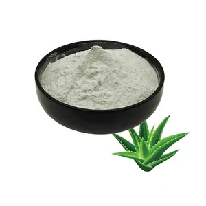 Factory Supply Natural 200:1 Aloe Vera Gel Freeze Dried Powder