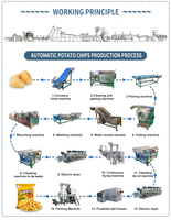Nieuwe, zeer efficiënte productielijn voor aardappelchips & maïsfriet met verpakkingsmogelijkheden voor groenten, fabrieks prijs.
