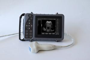 Domba baru pemindai <span class=keywords><strong>Ultrasound</strong></span> sapi pemindai <span class=keywords><strong>Ultrasound</strong></span> kuda pemindai <span class=keywords><strong>Ultrasound</strong></span> dengan Convex <span class=keywords><strong>Probe</strong></span> atau mainan seks - Product Image 2