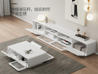 Meubles de salon multifonctionnels, élégants et modernes, table basse à grand espace nouvellement conçue avec rangement pour la maison et les hôtels