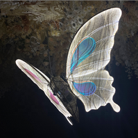 Vente en gros d'usine Décorations papillons LED Eclairage Papillon volant magique