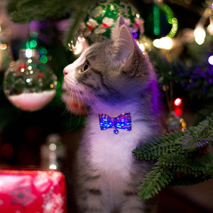 Kerah kucing Natal dengan dasi kupu-kupu menyala merah hijau kerah kucing untuk anjing kecil anak perempuan anak laki-laki dengan liontin lucu untuk berdandan hewan peliharaan - Product Image 6