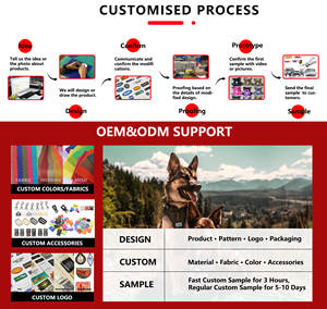 <span class=keywords><strong>Collar</strong></span> para perro mascota ajustable con hebilla de aleación de cuero genuino liso rosa de neopreno personalizado de diseñador personalizado de lujo - Product Image 2