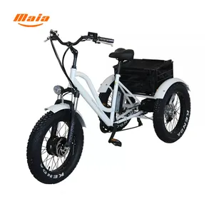 2022 Buatan Tiongkok 500W 48v20ah Baterai Lithium Rangka Baja Logam Aluminium Roda Tiga Listrik