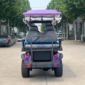Carrito de Golf Todoterreno Eléctrico, Vehículo de Turismo de 6 Plazas en Venta - Product Image 2