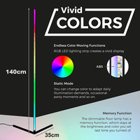 Téléphone App contrôle Rgb Led lampadaire nordique décoration maison salon chambre coin debout jardin fête atmosphère lumière