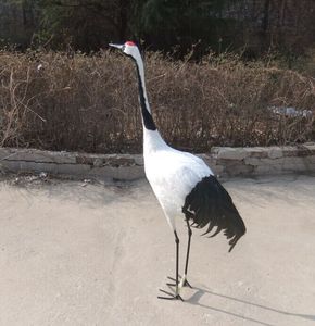 <span class=keywords><strong>นก</strong></span>เทียมรูปปั้นพลาสติกรูปสัตว์ขนาดใหญ่รูป<span class=keywords><strong>มงกุฎ</strong></span>แดงอุปกรณ์ตกแต่งสว<span class=keywords><strong>นก</strong></span>ลางแจ้ง - Product Image 3