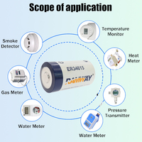 RAMWAY OEM Produsen Baterai Primer Industri ER34615 Baterai Lithium 3.6V 19Ah untuk Modem GSM Elektronik Konsumen