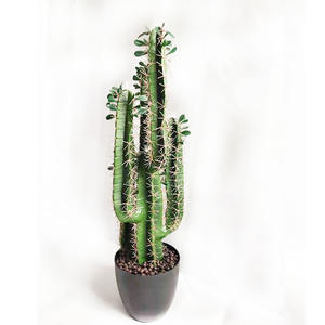 <span class=keywords><strong>Planta</strong></span> de Cactus Artificial para decoración al aire libre, para Hotel y jardín, de alta calidad, venta al por mayor - Product Image 6