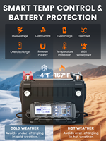 ANCEL BT521 Chargeur de batterie au plomb 12V 4-en-1, testeur, entreteneur et désulfateur, chargeur intelligent 5A pour la réparation de batteries de la plupart des voitures
