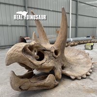 Répliques de fossiles de dinosaures artificiels pour exposition muséale, taille réelle, crâne de T-Rex