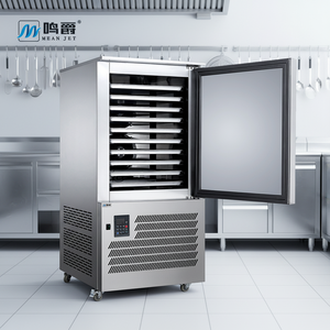 Refrigerador Eléctrico de 30 Niveles para Carne, Congelador de Una Puerta, Enfriador - Product Image 2