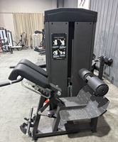 Machine à extensions dorsales sélectives, banc d'hyperextension à empilement de poids réglable pour fessiers et ischio-jambiers, usage commercial en salle de sport