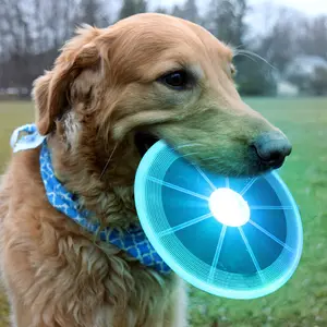 Voando OEM logotipo personalizado Plástico LED Piscando Disco voador cão acessórios pet treinamento suprimentos cão frisbeed