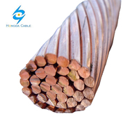 Cuivre Nu 16mm2 25mm2 50mm2 Conductor de cobre trenzado desnudo BC Conductor