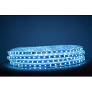Tiras de luz LED azul cielo 25 metros rollo de manguera de PVC para exteriores 110V SMD 5050 blanco cálido y frío Control remoto IP65 para jardín MOQ 5 M - Product Image 5